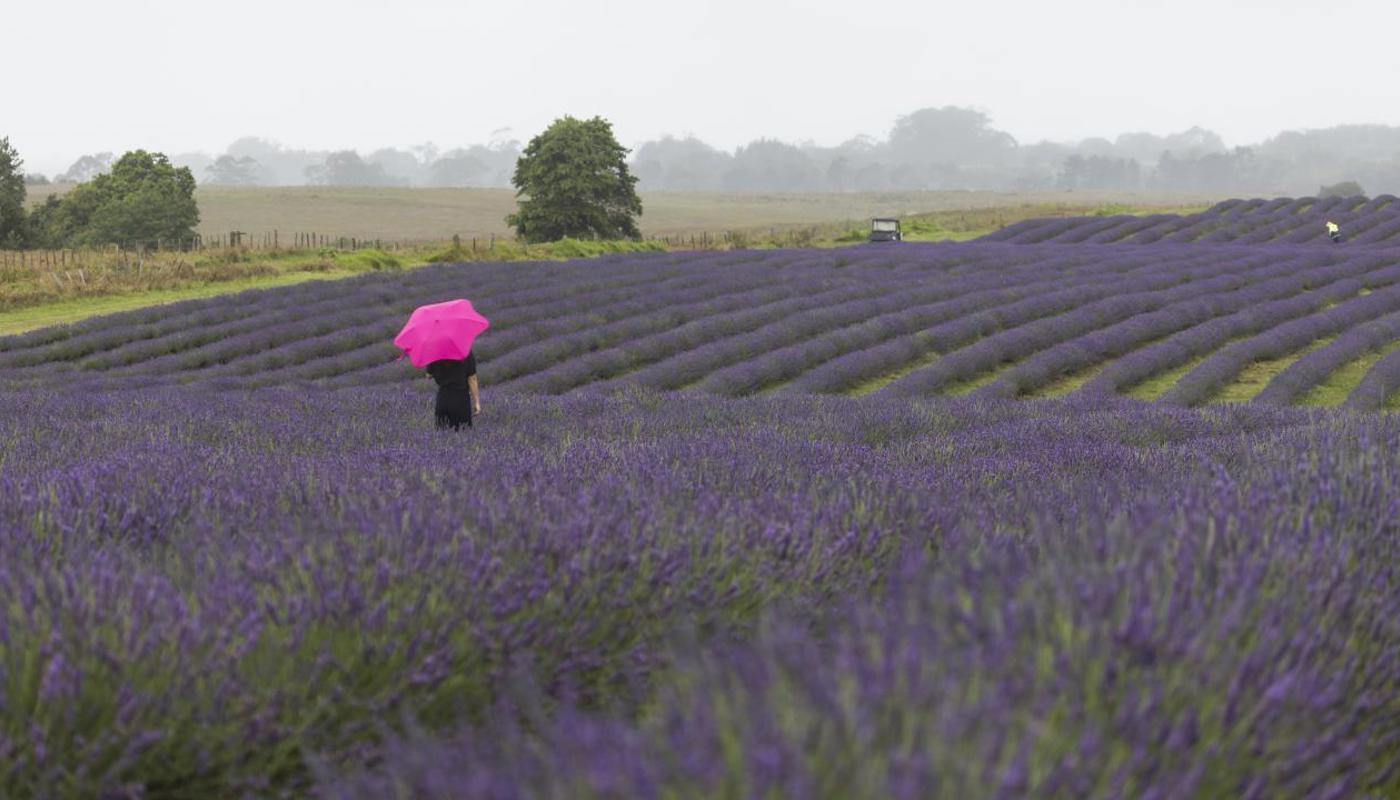 Raining over the field.