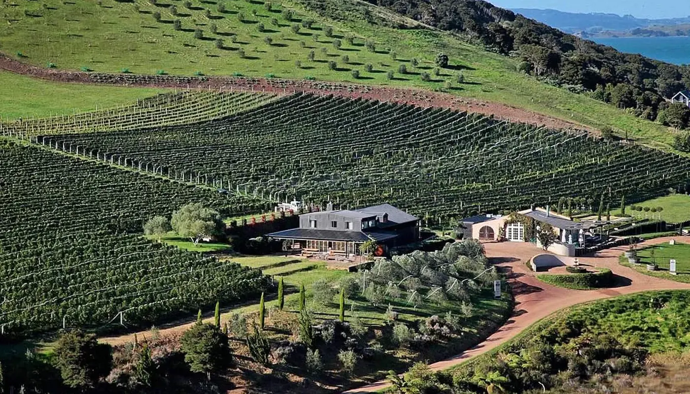Poderi Crisci Image 1