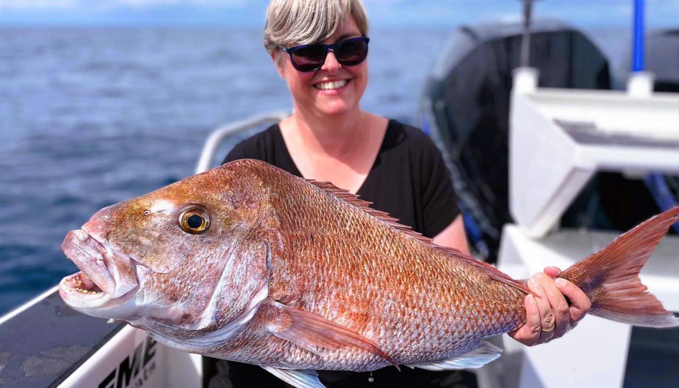 Awesome snapper