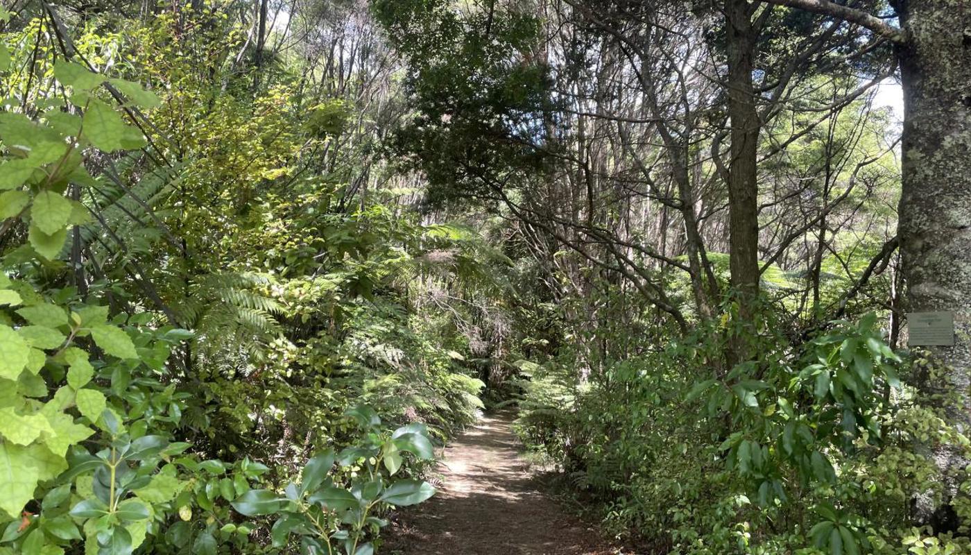 On the Wild Side trail.