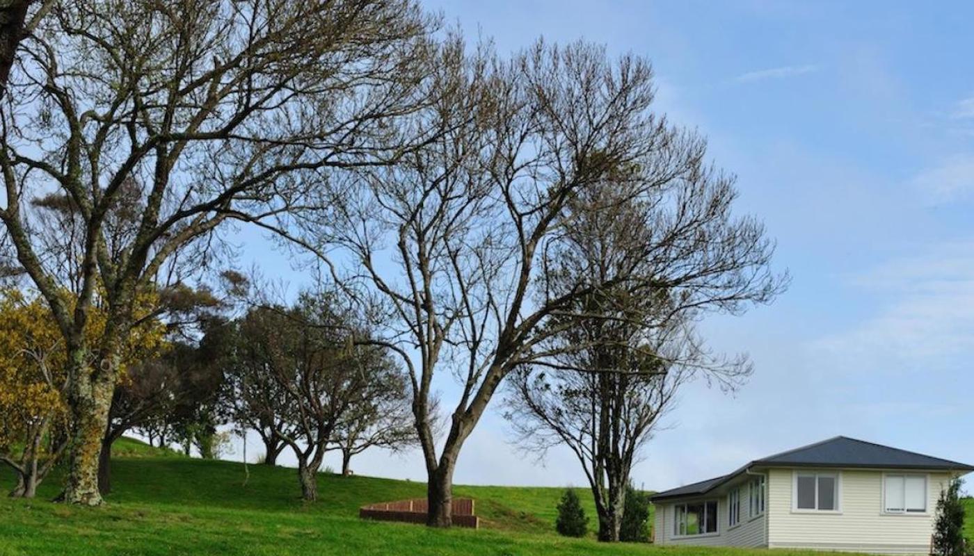 Oranga Holiday Home is set amongst newly planted conservation estate.