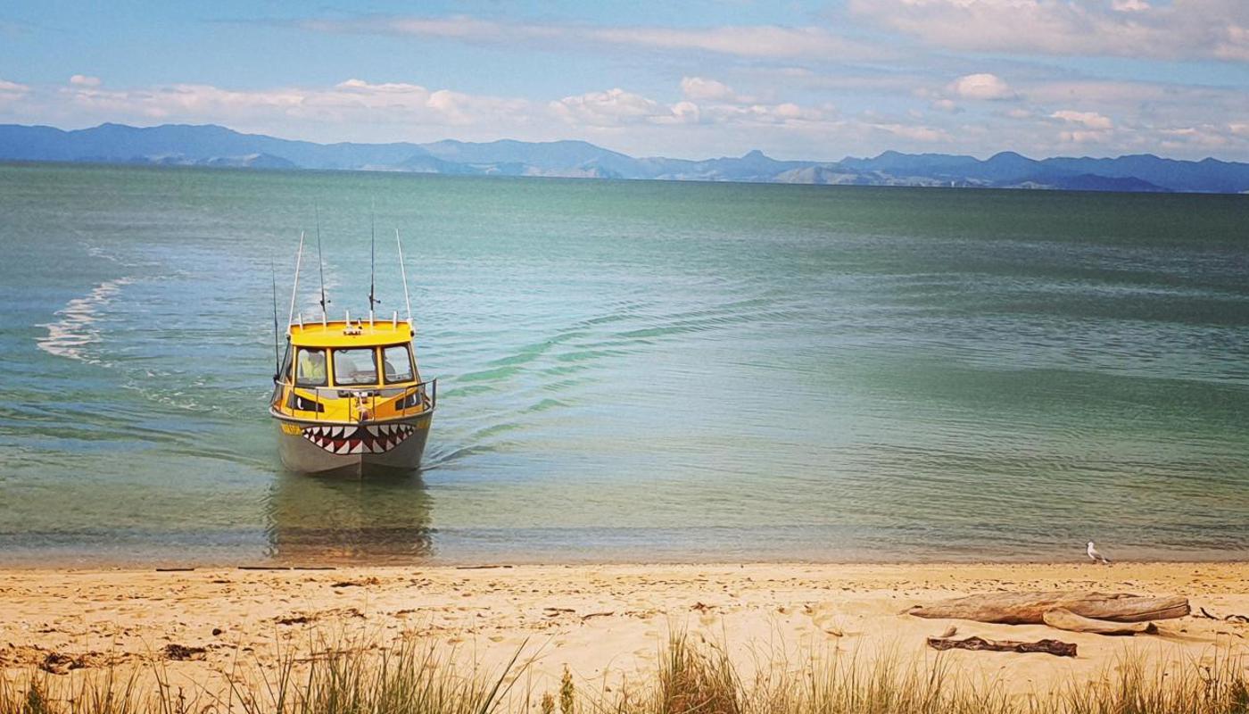 Our Vessel The Warfish dropping client for a beach picnic on Rotoroa Island