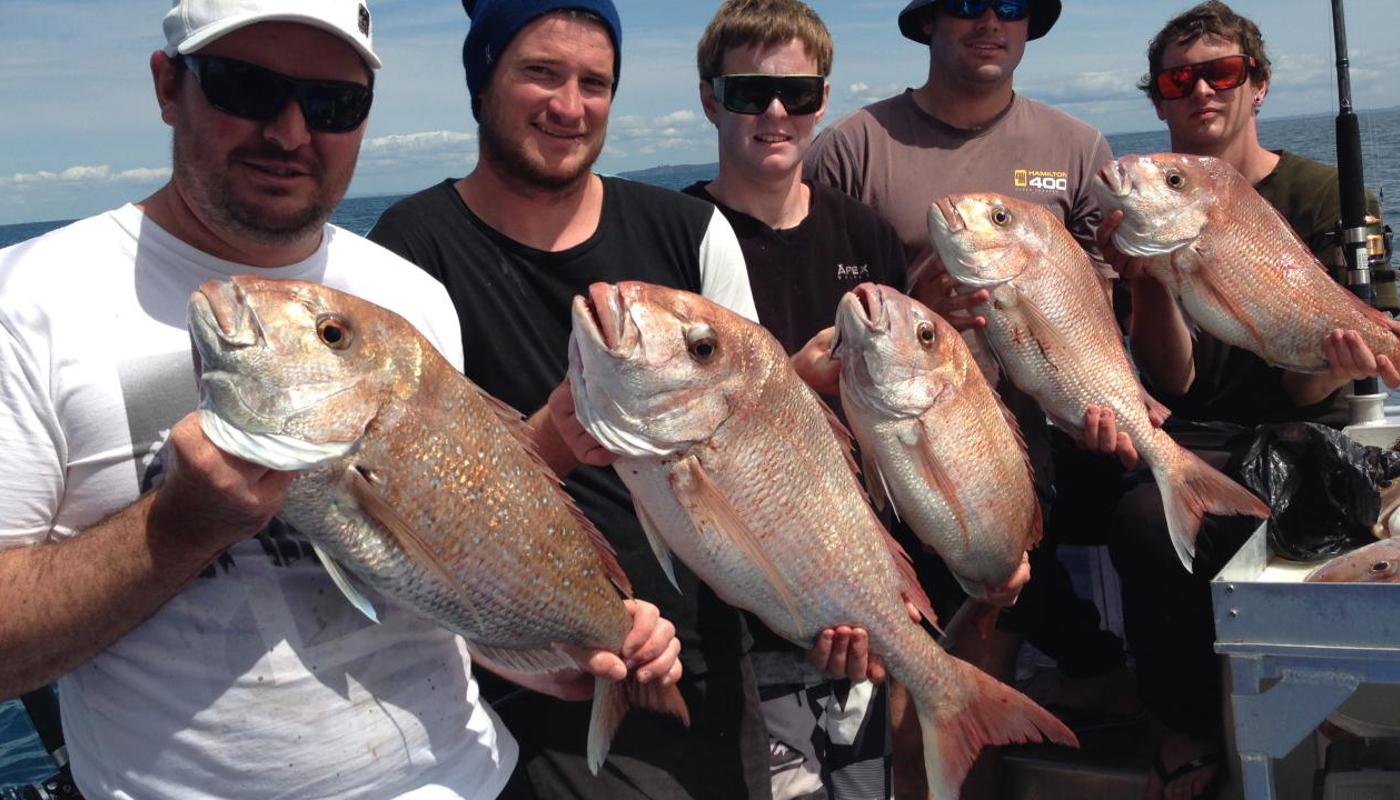 Healthy snapper from the deep
