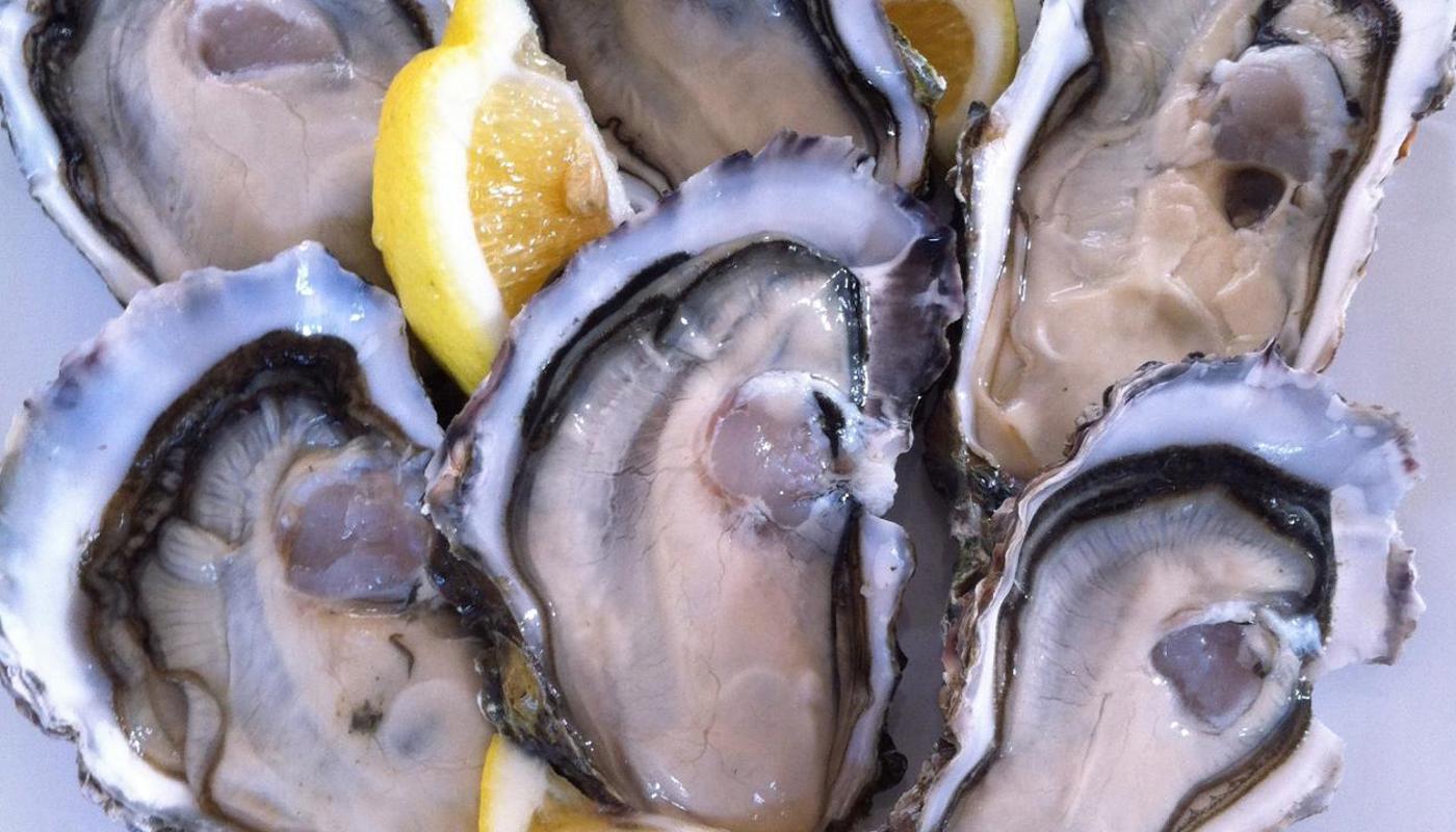 Waiheke Te Matuku Bay Oysters