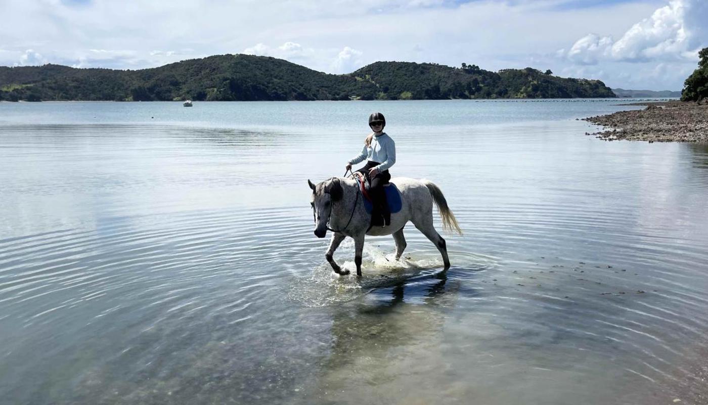 Waka loves the water a hot summers day on Waiheke.